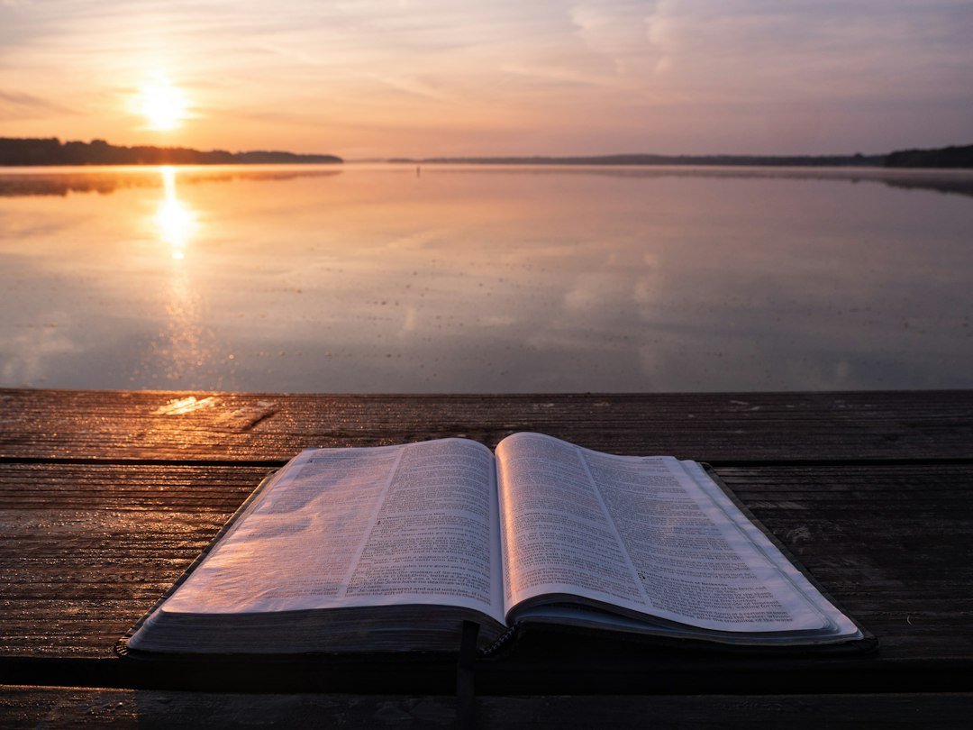 Open Bible in golden light