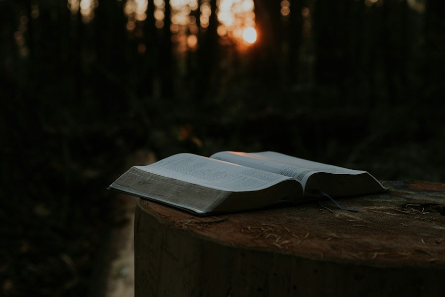 Bible Study & Reference collection